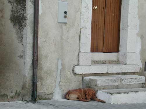 Fotografia San Giovanni in Galdo